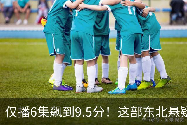 仅播6集飙到9.5分！这部东北悬疑剧凭什么封神